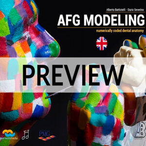 AFG MODELLING numerically coded dental anatomy